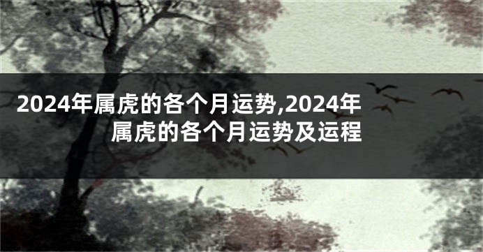 2024年属虎的各个月运势,2024年属虎的各个月运势及运程