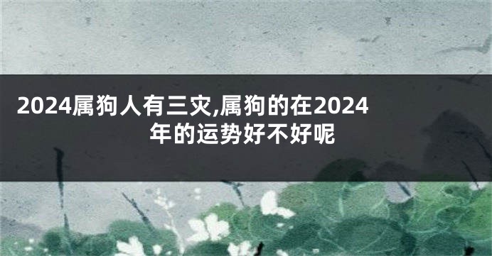 2024属狗人有三灾,属狗的在2024年的运势好不好呢