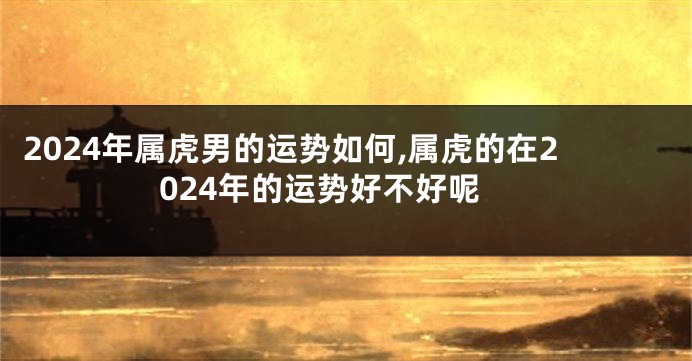2024年属虎男的运势如何,属虎的在2024年的运势好不好呢