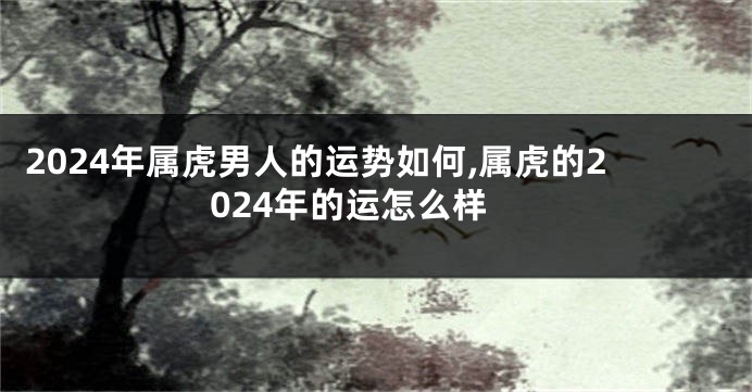 2024年属虎男人的运势如何,属虎的2024年的运怎么样
