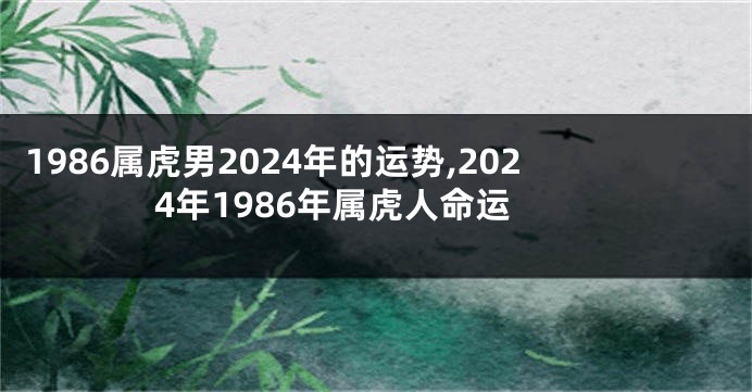 1986属虎男2024年的运势,2024年1986年属虎人命运