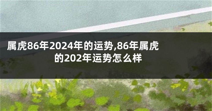 属虎86年2024年的运势,86年属虎的202年运势怎么样