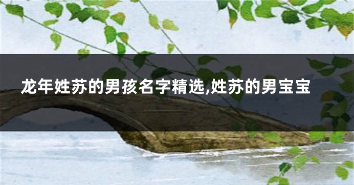 龙年姓苏的男孩名字精选,姓苏的男宝宝