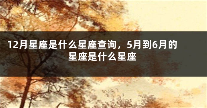 12月星座是什么星座查询，5月到6月的星座是什么星座