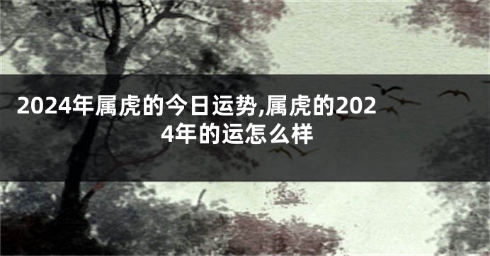 2024年属虎的今日运势,属虎的2024年的运怎么样