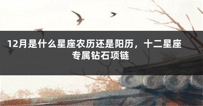 12月是什么星座农历还是阳历，十二星座专属钻石项链