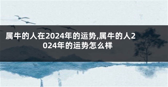 属牛的人在2024年的运势,属牛的人2024年的运势怎么样