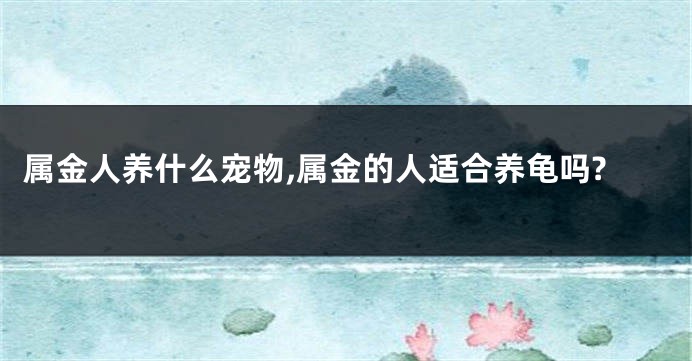 属金人养什么宠物,属金的人适合养龟吗?