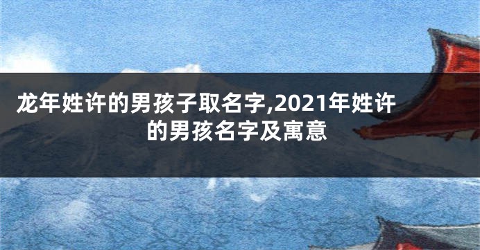 龙年姓许的男孩子取名字,2021年姓许的男孩名字及寓意