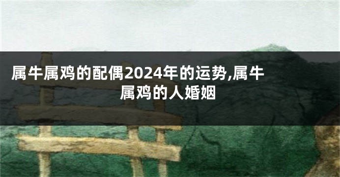 属牛属鸡的配偶2024年的运势,属牛 属鸡的人婚姻