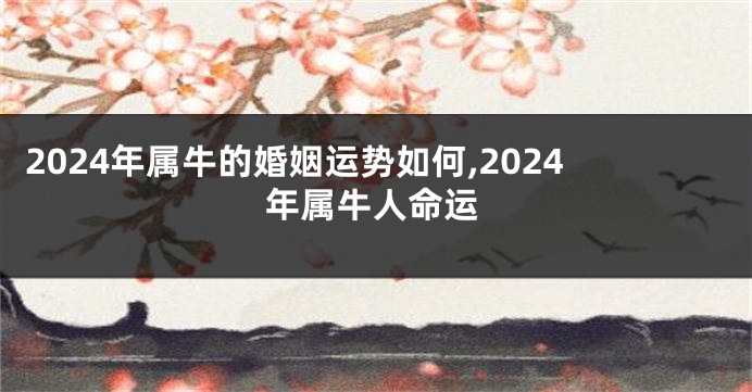 2024年属牛的婚姻运势如何,2024年属牛人命运