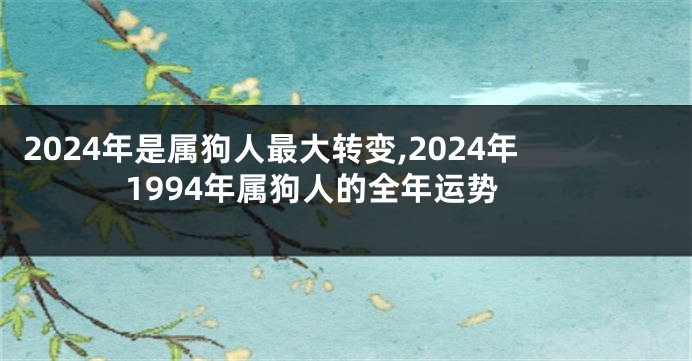 2024年是属狗人最大转变,2024年1994年属狗人的全年运势