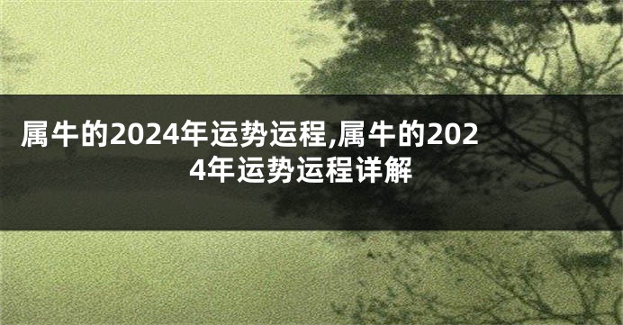 属牛的2024年运势运程,属牛的2024年运势运程详解