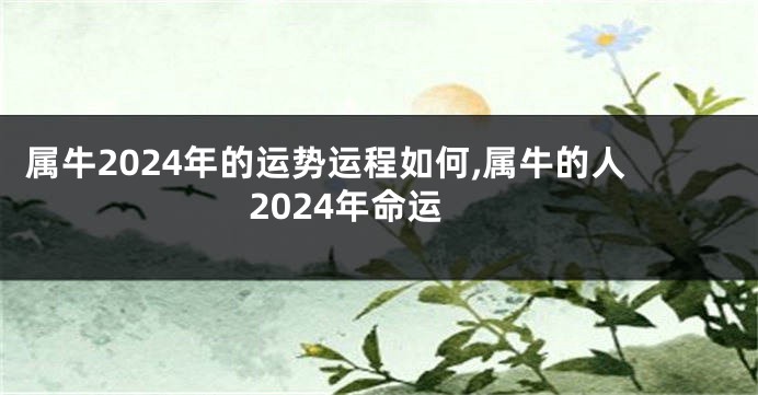 属牛2024年的运势运程如何,属牛的人2024年命运