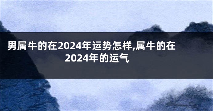 男属牛的在2024年运势怎样,属牛的在2024年的运气