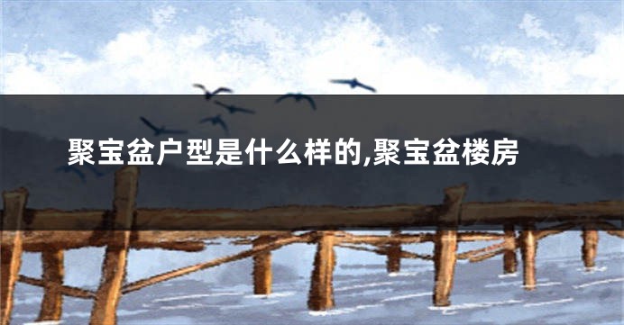 聚宝盆户型是什么样的,聚宝盆楼房