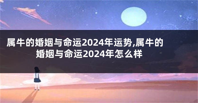属牛的婚姻与命运2024年运势,属牛的婚姻与命运2024年怎么样