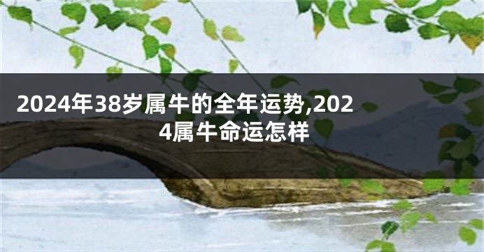 2024年38岁属牛的全年运势,2024属牛命运怎样