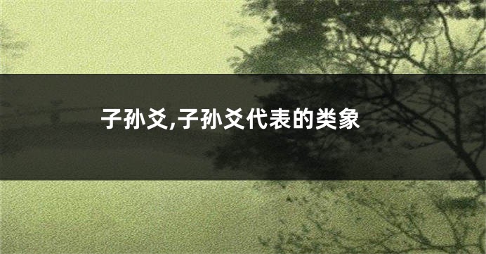 子孙爻,子孙爻代表的类象