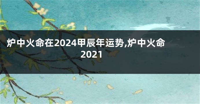 炉中火命在2024甲辰年运势,炉中火命2021