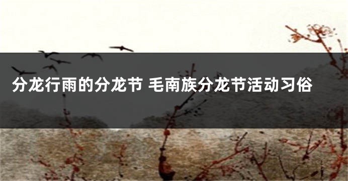 分龙行雨的分龙节 毛南族分龙节活动习俗