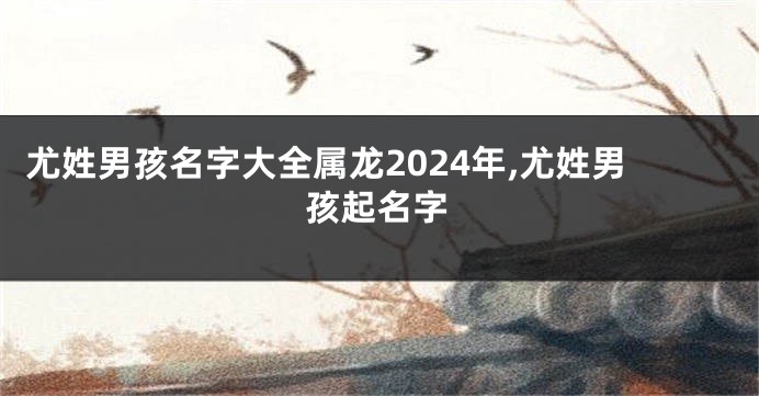 尤姓男孩名字大全属龙2024年,尤姓男孩起名字