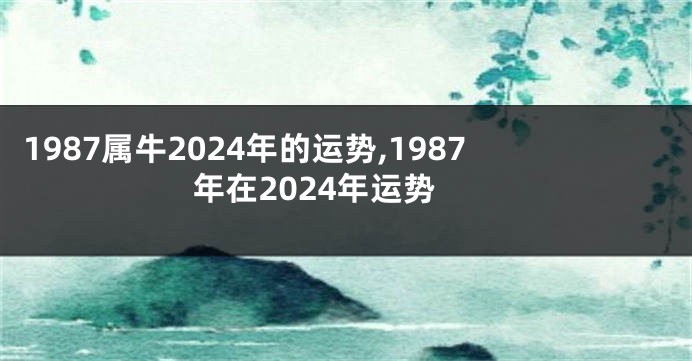 1987属牛2024年的运势,1987年在2024年运势