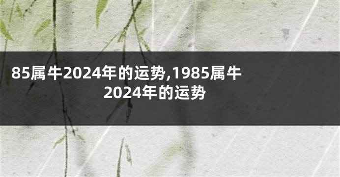 85属牛2024年的运势,1985属牛2024年的运势