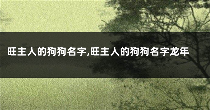旺主人的狗狗名字,旺主人的狗狗名字龙年