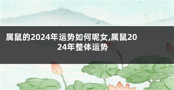 属鼠的2024年运势如何呢女,属鼠2024年整体运势