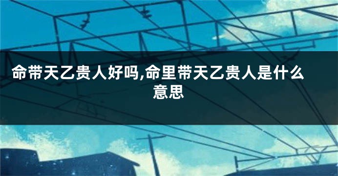 命带天乙贵人好吗,命里带天乙贵人是什么意思