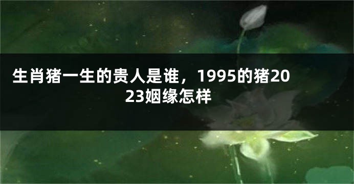 生肖猪一生的贵人是谁，1995的猪2023姻缘怎样