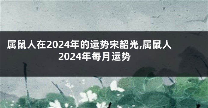 属鼠人在2024年的运势宋韶光,属鼠人2024年每月运势