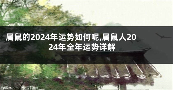 属鼠的2024年运势如何呢,属鼠人2024年全年运势详解