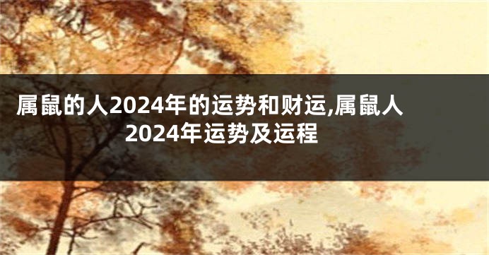 属鼠的人2024年的运势和财运,属鼠人2024年运势及运程