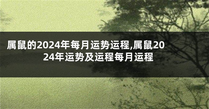 属鼠的2024年每月运势运程,属鼠2024年运势及运程每月运程