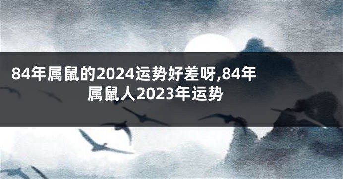84年属鼠的2024运势好差呀,84年属鼠人2023年运势