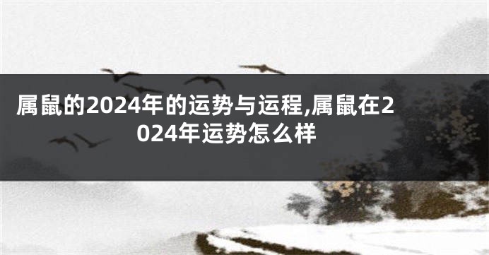 属鼠的2024年的运势与运程,属鼠在2024年运势怎么样