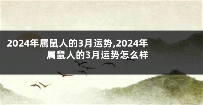 2024年属鼠人的3月运势,2024年属鼠人的3月运势怎么样