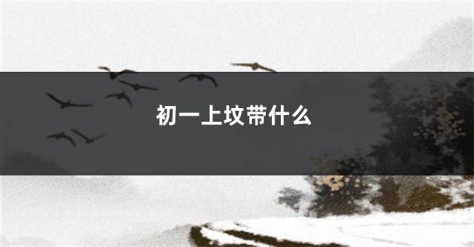 初一上坟带什么
