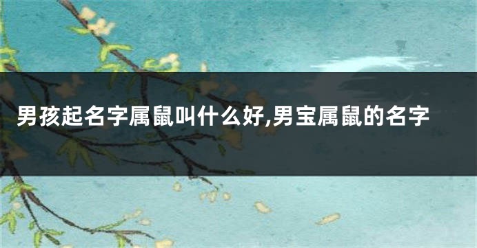 男孩起名字属鼠叫什么好,男宝属鼠的名字