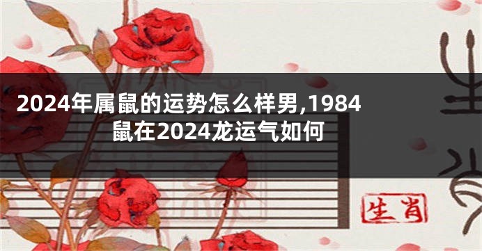 2024年属鼠的运势怎么样男,1984鼠在2024龙运气如何