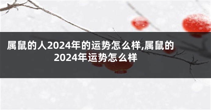 属鼠的人2024年的运势怎么样,属鼠的2024年运势怎么样