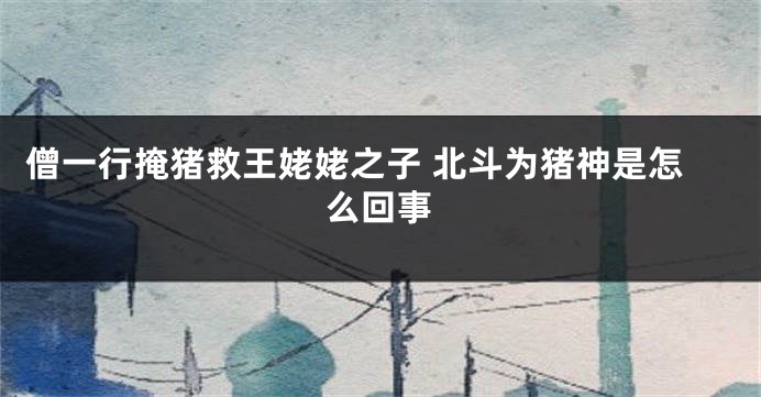 僧一行掩猪救王姥姥之子 北斗为猪神是怎么回事