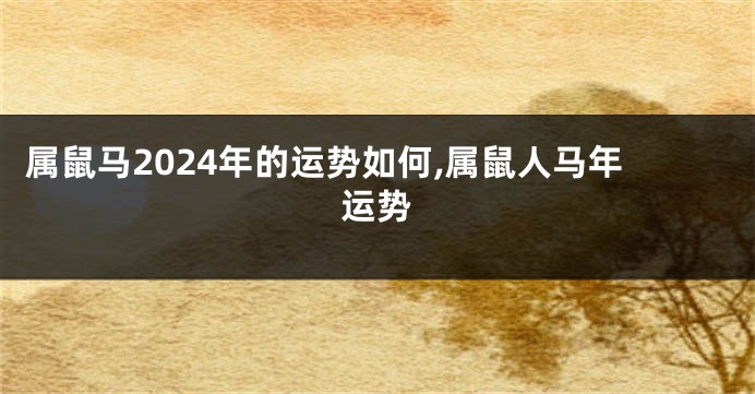 属鼠马2024年的运势如何,属鼠人马年运势