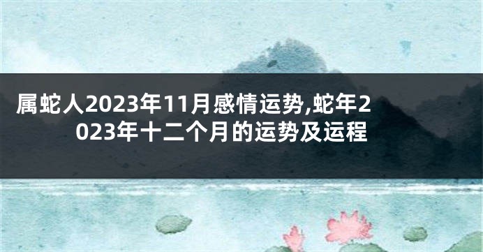 属蛇人2023年11月感情运势,蛇年2023年十二个月的运势及运程