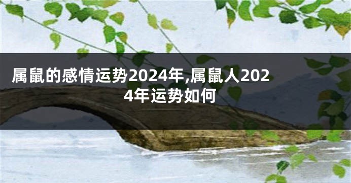 属鼠的感情运势2024年,属鼠人2024年运势如何