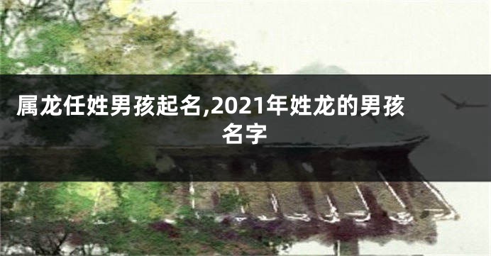 属龙任姓男孩起名,2021年姓龙的男孩名字