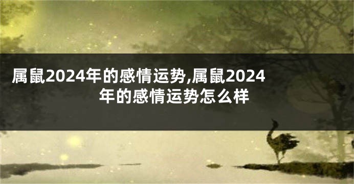属鼠2024年的感情运势,属鼠2024年的感情运势怎么样