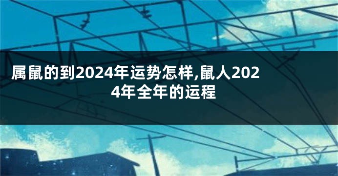 属鼠的到2024年运势怎样,鼠人2024年全年的运程